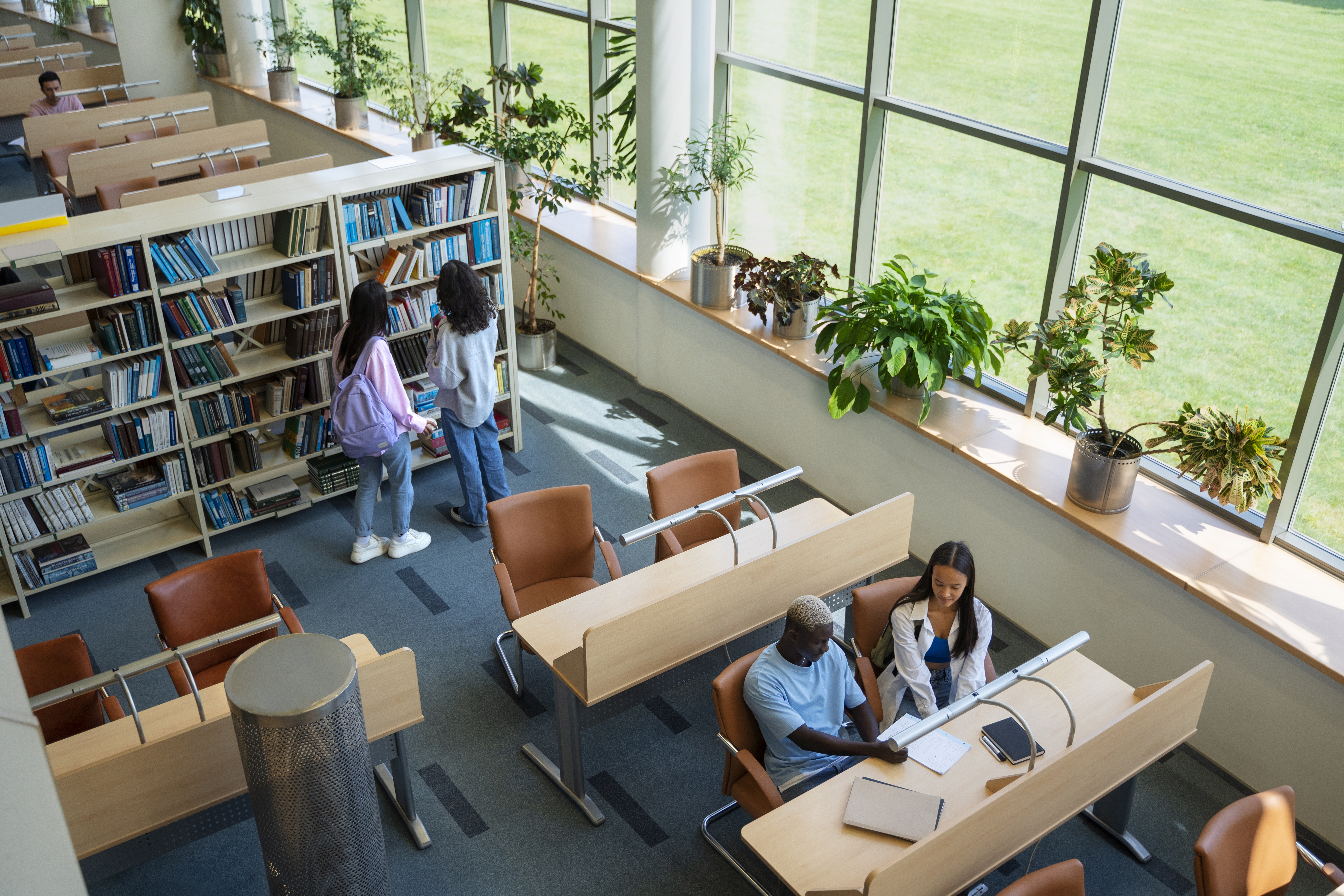 enseignement supérieur